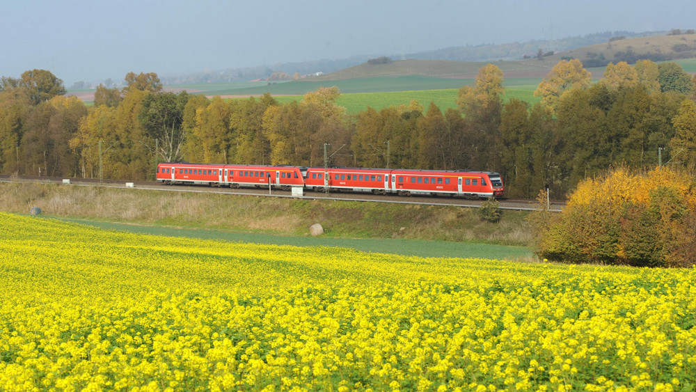 Tipps für den Vogelsberg Ausflug Vulkane Natur und Abenteuer