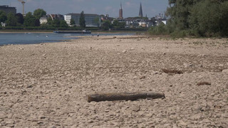 Zunehmende Trockenheit: EU-Kommission ruft zum Wassersparen in Europa auf