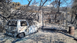 Was die Waldbrände in Athen anrichten