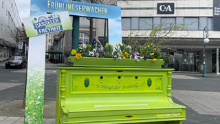 Volksfest für Familien: Frühlings‐Freyheit in der Kasseler City