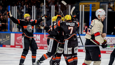 Löwen Frankfurt - Eishockey live | Hier Tickets kaufen