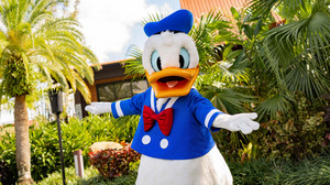 Ich packe meinen Koffer fürs Walt Disney World Resort