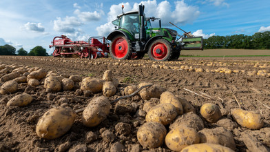 Kartoffelernte in Hessen super, dennoch Frust bei Landwirten