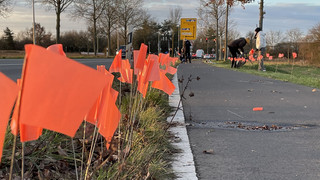 Müll-Aktion in Mörfelden-Walldorf: 1.000 Fahnen markieren Abfall
