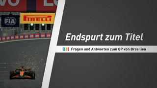 Endspurt in der Formel 1: Alles Wichtige zum GP von Brasilien