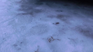 Wetterdienst warnt vor Glatteis: Auch am Freitag Eisregen im Nordosten