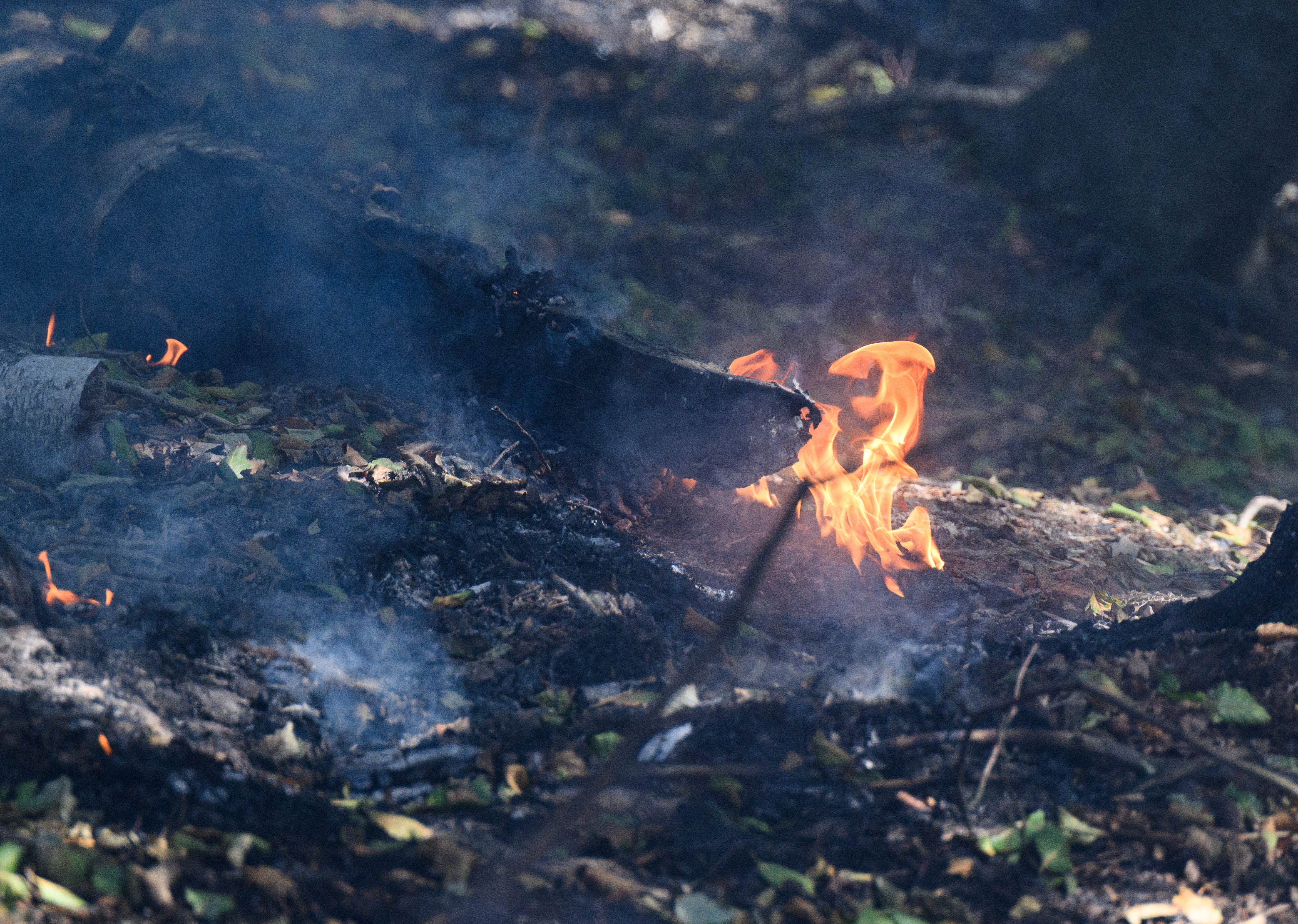 Bad Soden: Brandgefahr wächst - Verbrennen von Gartenabfällen verboten