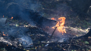 Mehrere Waldbrände im Taunus: Polizei glaubt an Brandstiftung
