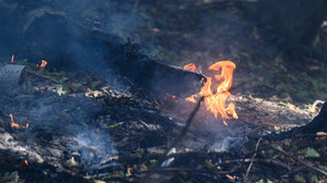 Mehrere Waldbrände im Taunus: Polizei glaubt an Brandstiftung