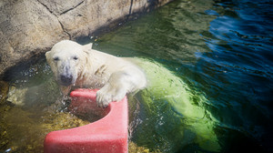 Bilder des Tages