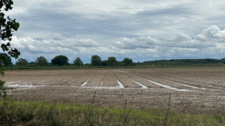 Hochwasser in Hessen: Land kündigt Notfallhilfen für Bauern an