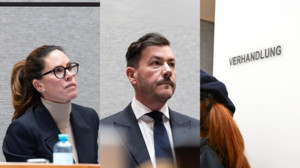 Ex-Milliardär Benko erneut verurteilt