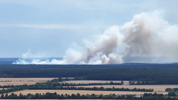 Massive Rauchwolke: Brand im Müritz-Nationalpark