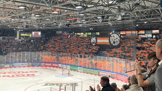 Löwen Frankfurt verlieren erneut gegen Düsseldorf - Saison beendet