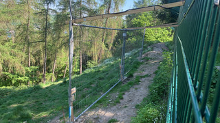 Projekt im Wildtierpark Edersee: Kann man Wölfe mit Düften vertreiben?