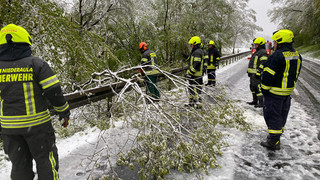 Winterwetter in Hessen: Umgestürzte Bäume und Verkehrsunfälle