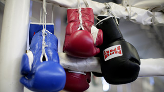 Boxen: Bilgenur Aras bei WBC FIGHTNIGHT in Frankfurt