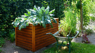 Hochbeet günstig selber bauen: Rückenschonend gärtnern
