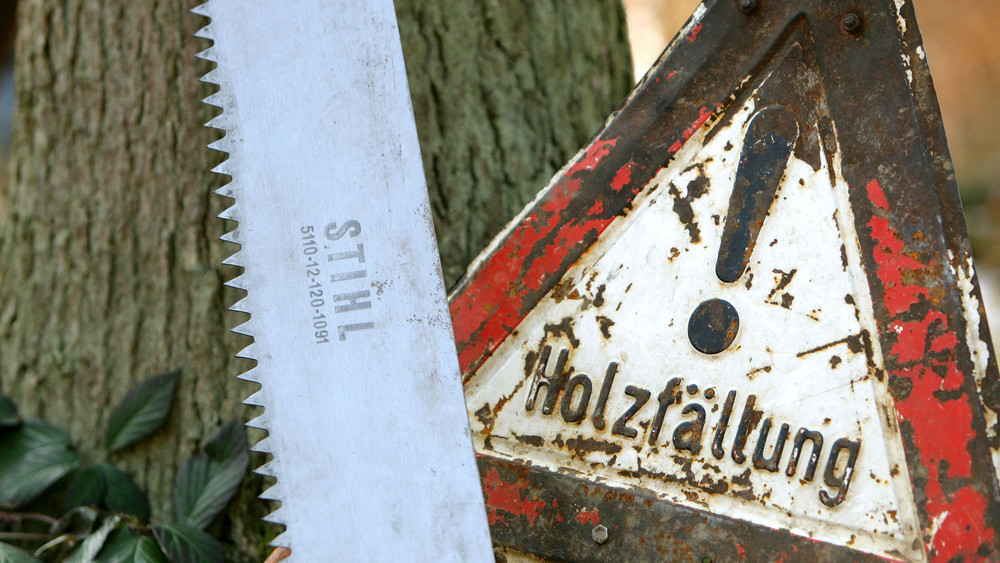 Tödlicher Unfall bei Baumarbeiten