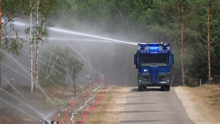 Waldbrand: Regen entspannt Lage im Müritz-Nationalpark