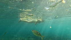 Mallorca: Neue Rekord-Wassertemperatur