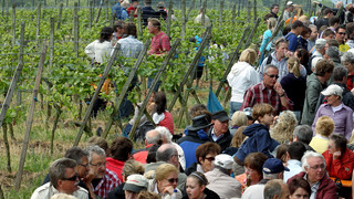 Weinlagenwanderung am 1. Mai an der Bergstraße: Zehntausende erwartet