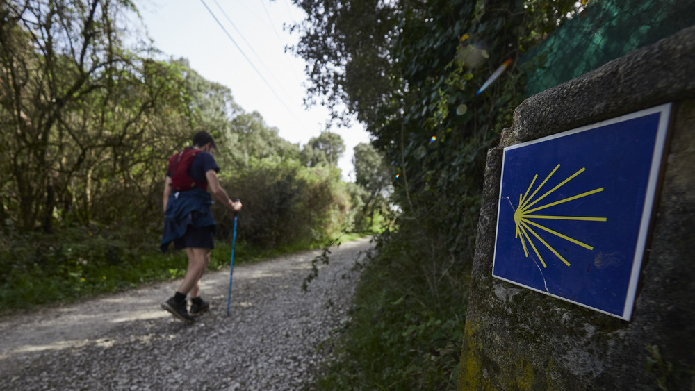 Knapp 160 Kilometer soll für den guten Zweck über den Jakobsweg gewandert werden. (Symbolbild)