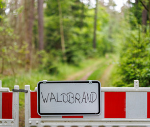 Hohe Waldbrandgefahr in Bayern durch Hitzewelle