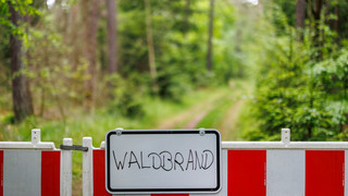 Hohe Waldbrandgefahr in Bayern – Hitzewelle wird heftiger