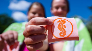 Schwimmabzeichentag auch in vielen hessischen Bädern