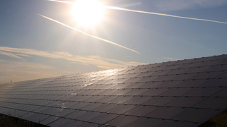 Solarzellen dürfen Nachbarn nicht blenden - Gericht entscheidet Streit