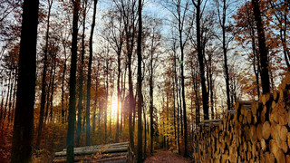 Augenzeugen: Bilder der FFH-Hörer