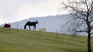 Neuer Mundart-Wanderweg wird im Weschnitztal eröffnet
