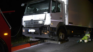 Kollision bei Groß-Gerau: Pferd bei Lkw-Unfall auf der B44 getötet