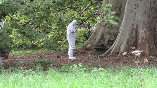 Tödlicher Streit in Park: 20-jähriger Mann in Leverkusen erstochen