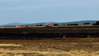 Großbrand in Wiesbaden: Einsatzkräfte stoppen Flammen