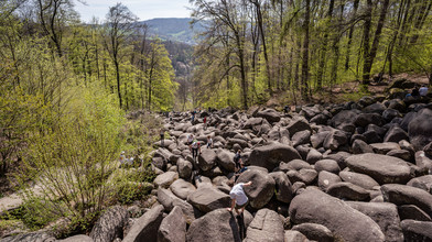 Wald "gestresst": Was sich am Felsenmeer jetzt ändern soll