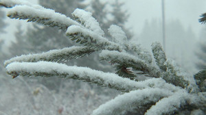 Wie stehen die Chancen auf weiße Weihnachten?
