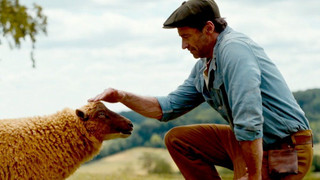 "Glennkill: Ein Schafskrimi": Witziger Trailer mit Hugh Jackman