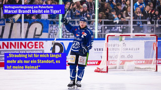 Marcel Brandt bleibt bei den Straubing Tigers