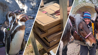 Jahresrückblick Hessen: Was wurde eigentlich aus...