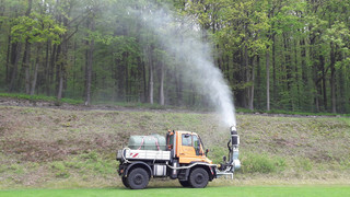 Bekämpfung des Eichenprozessionsspinners in Fulda beginnt