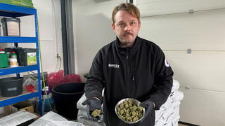 Erste legale Cannabisabgabe in Südhessen