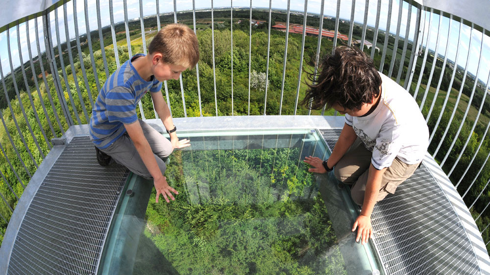 Der Schritt in den Abgrund