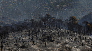 Griechenland: Aufräumen nach dem Brand
