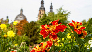 Kreuz & Quer am 23. April - Überraschend vielfältig