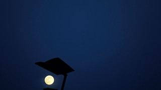 Earth Hour 2023 in Hessen: Diese Städte und Gemeinden machen mit