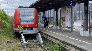Rattenproblem am Bad Sodener Bahnhof: Was der Grund ist