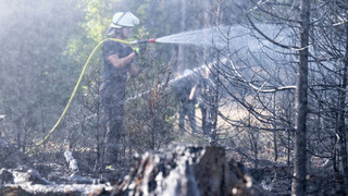 Erneut Feuer im Wald bei Glashütten: Polizei vermutet Brandstiftung