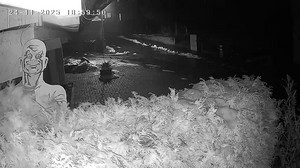 Meister Proper entführt! 1,9 Meter großer Aufsteller geklaut